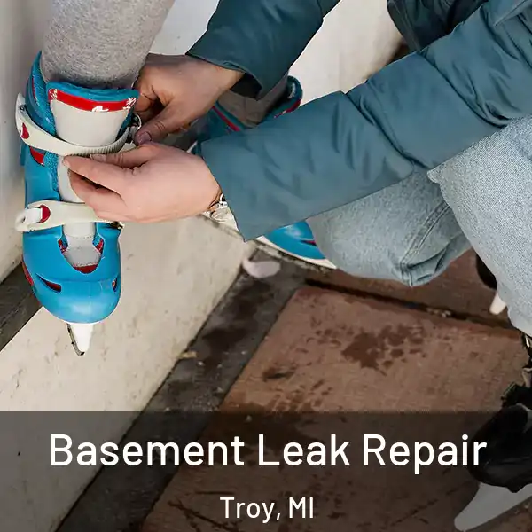  Basement Leak Repair Troy, MI