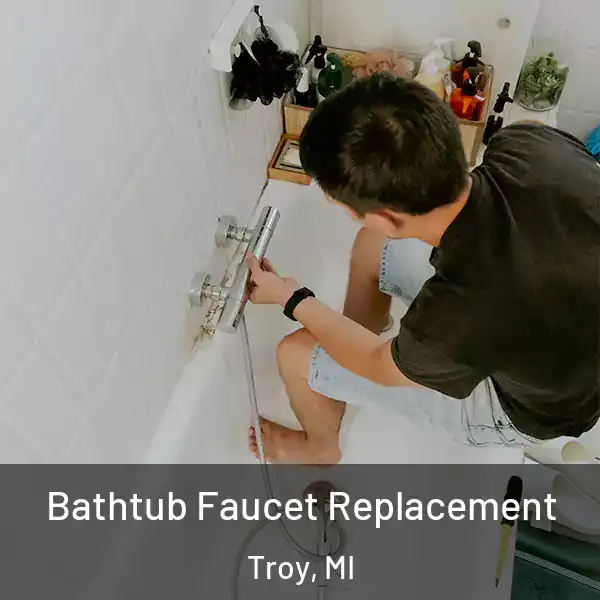  Bathtub Faucet Replacement Troy, MI
