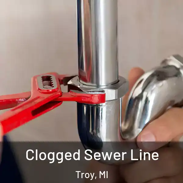  Clogged Sewer Line Troy, MI
