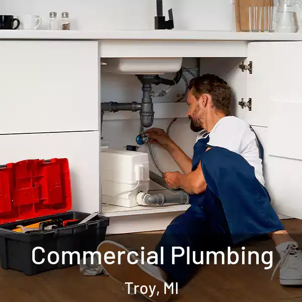  Commercial Plumbing Troy, MI