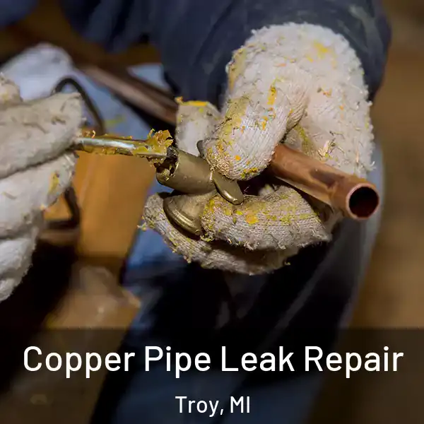  Copper Pipe Leak Repair Troy, MI