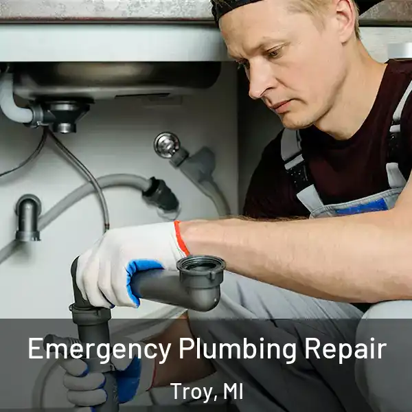  Emergency Plumbing Repair Troy, MI