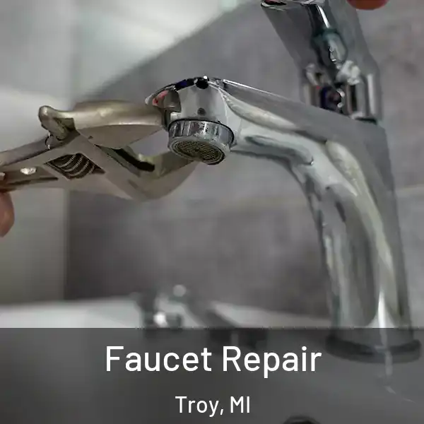  Faucet Repair Troy, MI