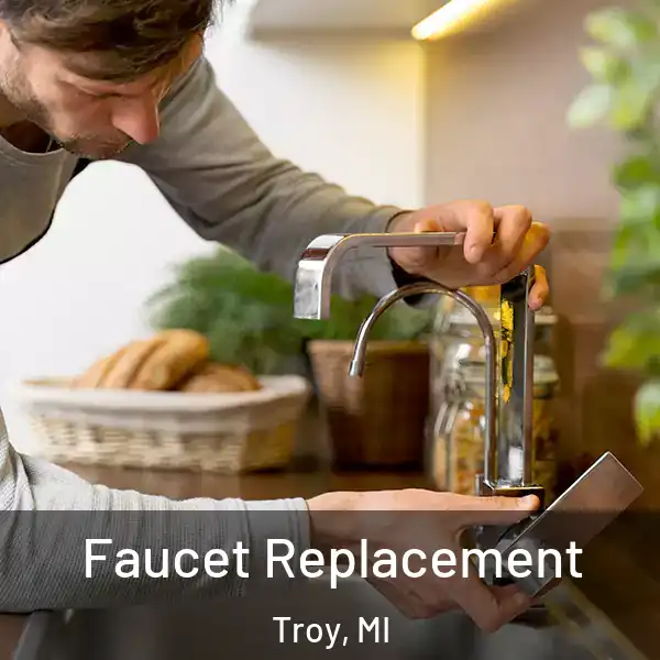  Faucet Replacement Troy, MI
