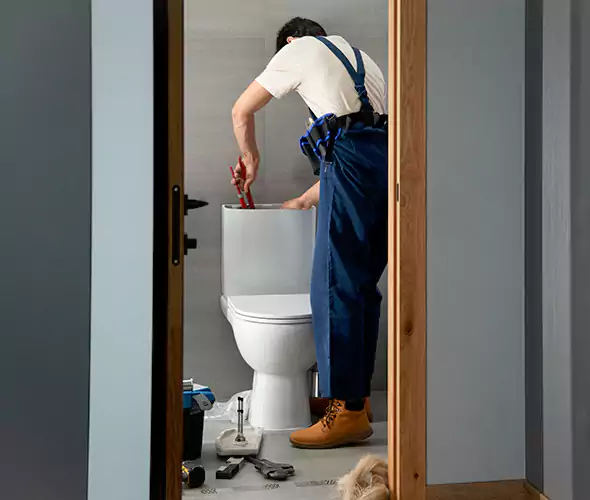 Professional Plumbers for Toilet Bowl Replacement in Troy, MI: Schedule Affordable Toilet Replacement Services With Us
