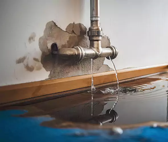 Professional Water Damage Restoration Experts in Troy, MI — Fast, Reliable & Certified
