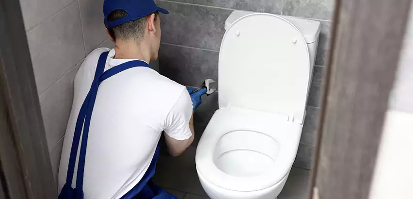 Toilet Lid Replacement in Troy