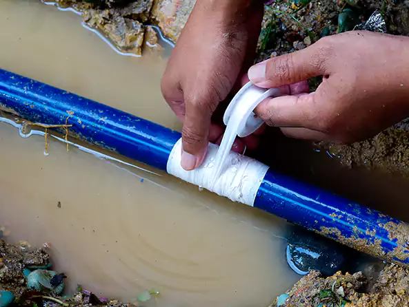  Why Choose Troy Plumbing Pro for Leak Detection in Troy, MI?]