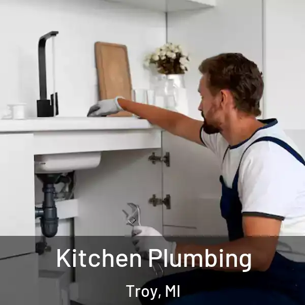  Kitchen Plumbing Troy, MI
