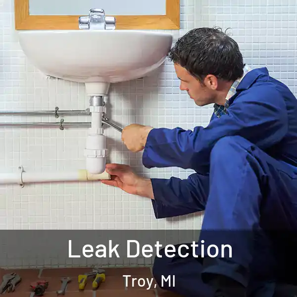  Leak Detection Troy, MI