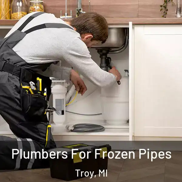  Plumbers For Frozen Pipes Troy, MI