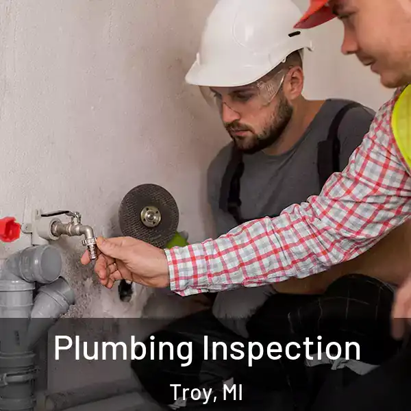  Plumbing Inspection Troy, MI
