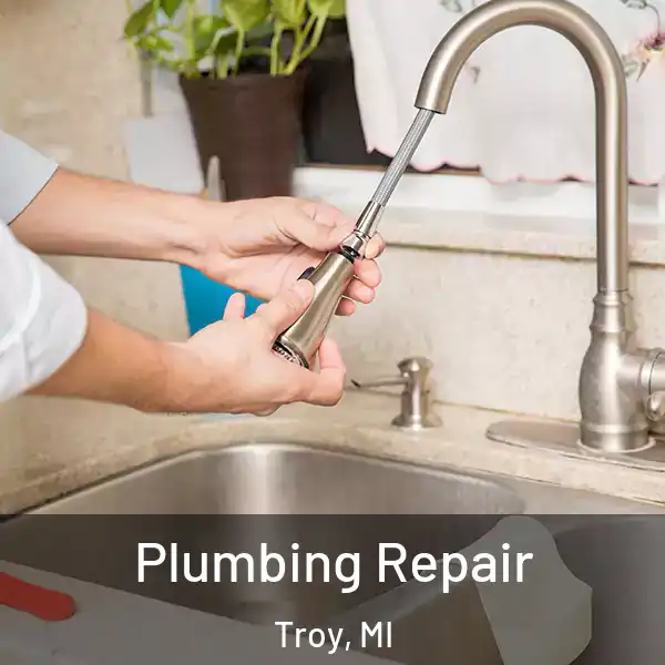  Plumbing Repair Troy, MI