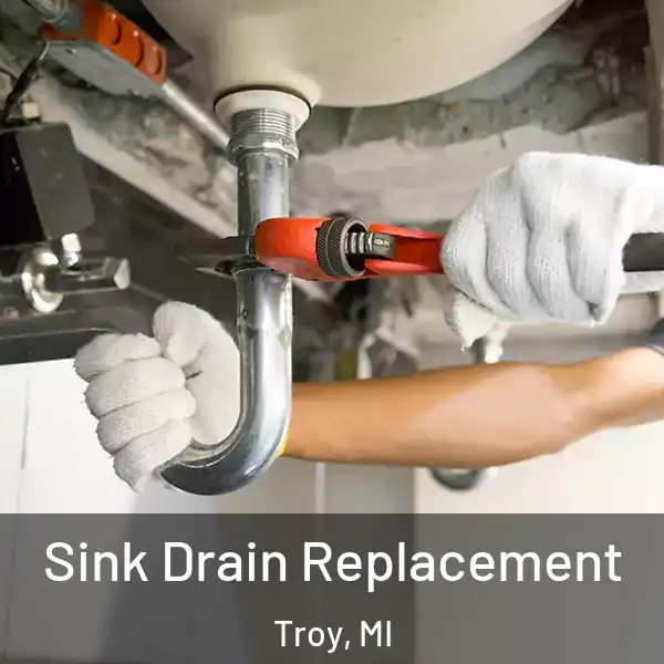  Sink Drain Replacement Troy, MI