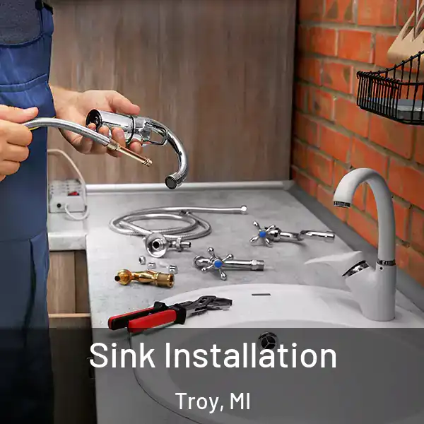  Sink Installation Troy, MI