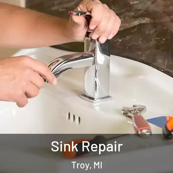  Sink Repair Troy, MI