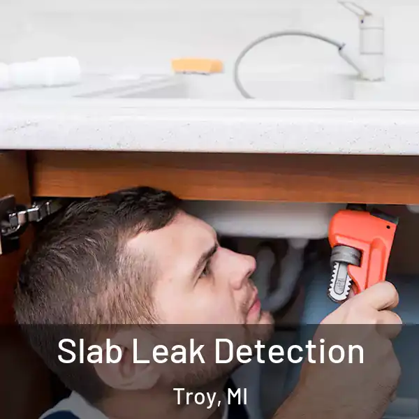  Slab Leak Detection Troy, MI