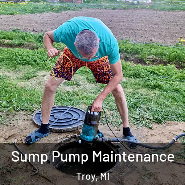  Sump Pump Maintenance Troy, MI