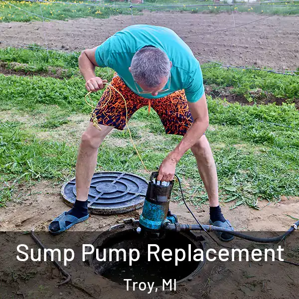  Sump Pump Replacement Troy, MI