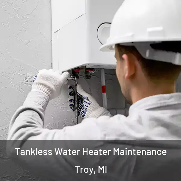  Tankless Water Heater Maintenance Troy, MI