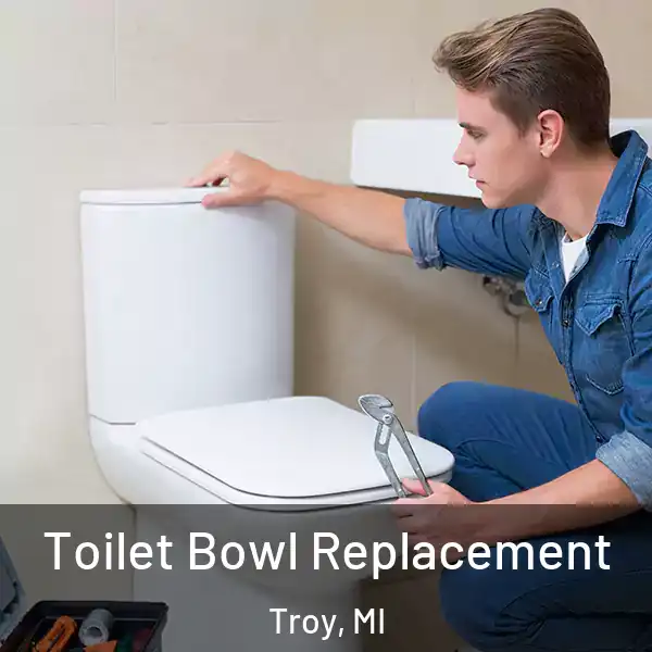  Toilet Bowl Replacement Troy, MI