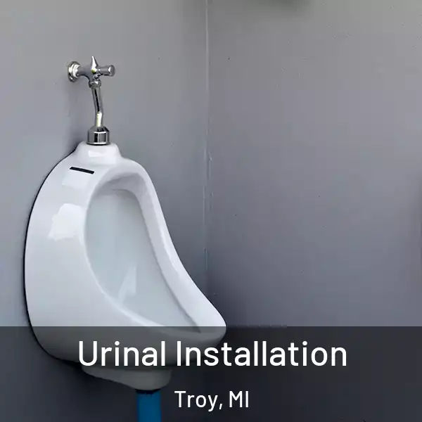  Urinal Installation Troy, MI
