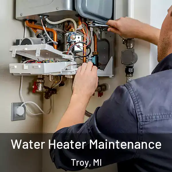  Water Heater Maintenance Troy, MI