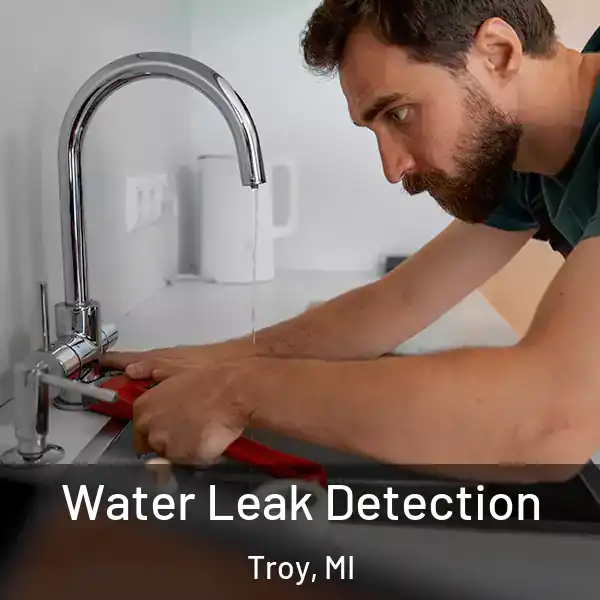  Water Leak Detection Troy, MI